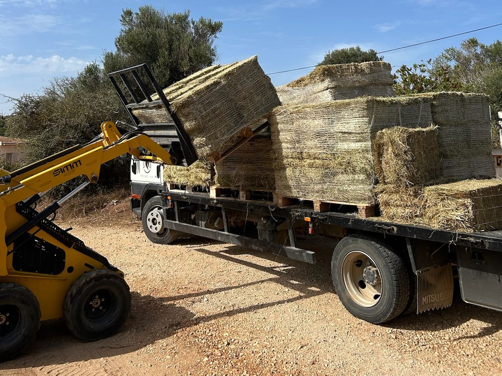 Prime Hay loading bales onto the delivery truck