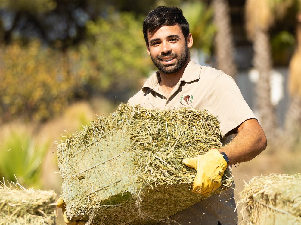 A Prime Hay team member carrying a bale of hay