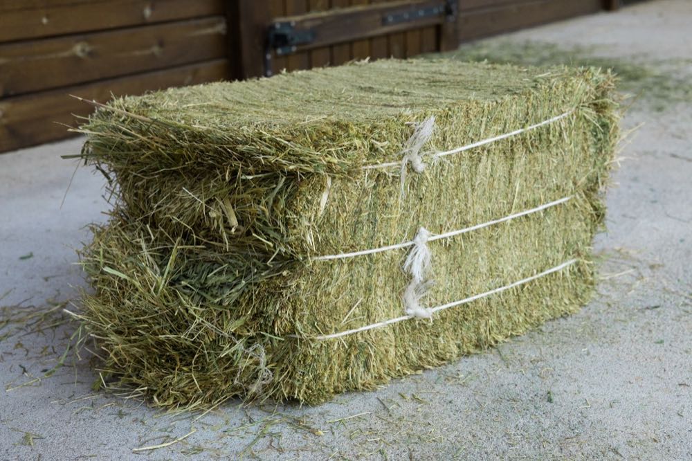 Small Bales French Meadow Hay