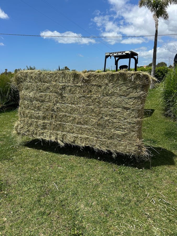A big bale of hay on grass