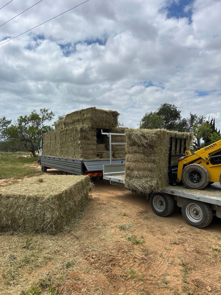 Big bales of French hay delivered to a yard
