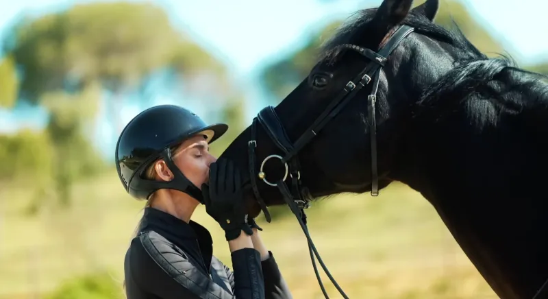 For Horse Owners