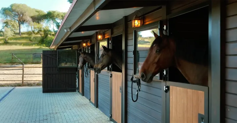 For Stables