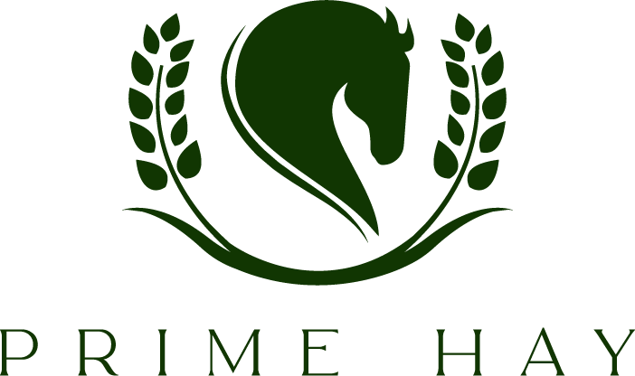 Prime Hay