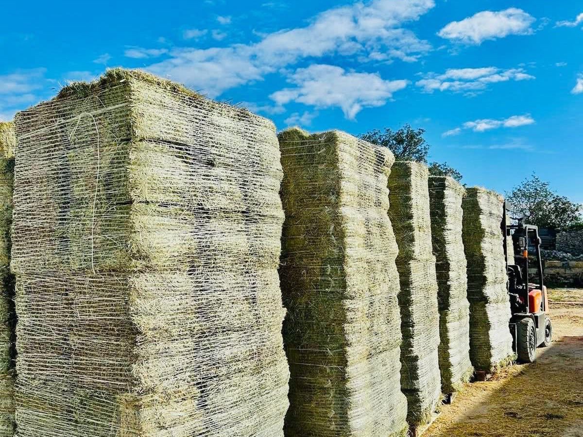 Pallets of compressed small hay bales stacked at a Prime Hay depot in Portugal