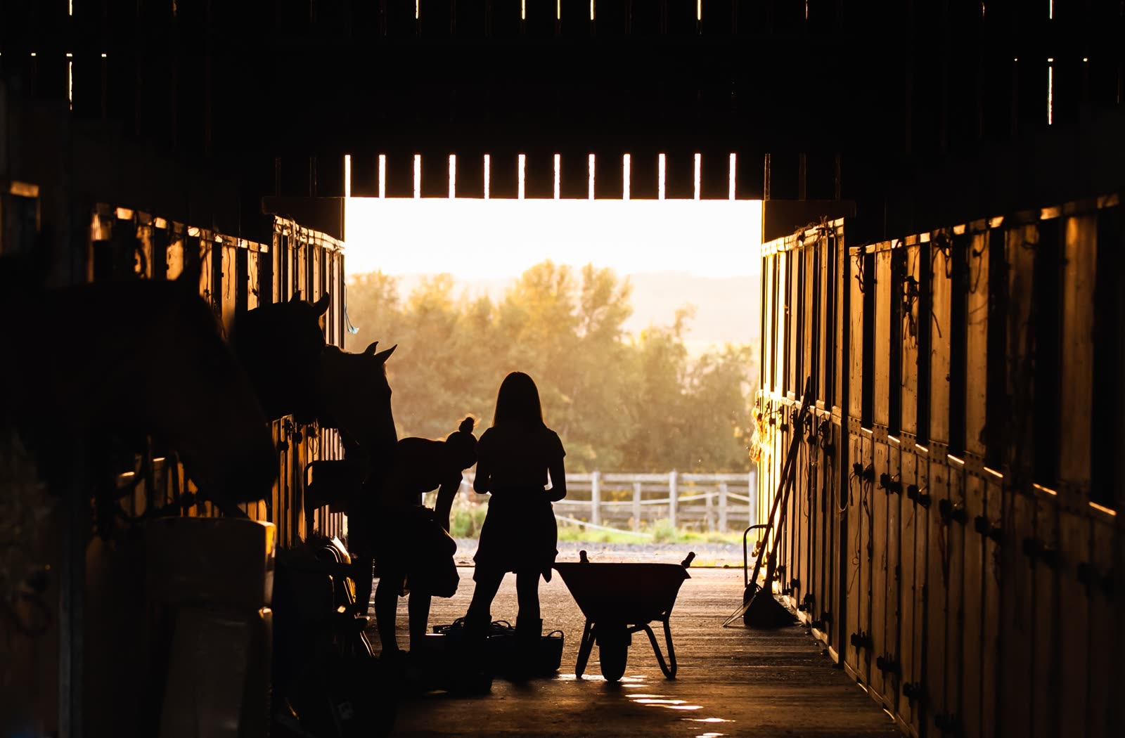 Caballos y sus propietarios en un pasillo de cuadras al amanecer, listos para la primera ración de heno