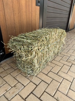 A small bale of local Portuguese hay at the stable door