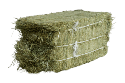A fresh bale of Prime Hay