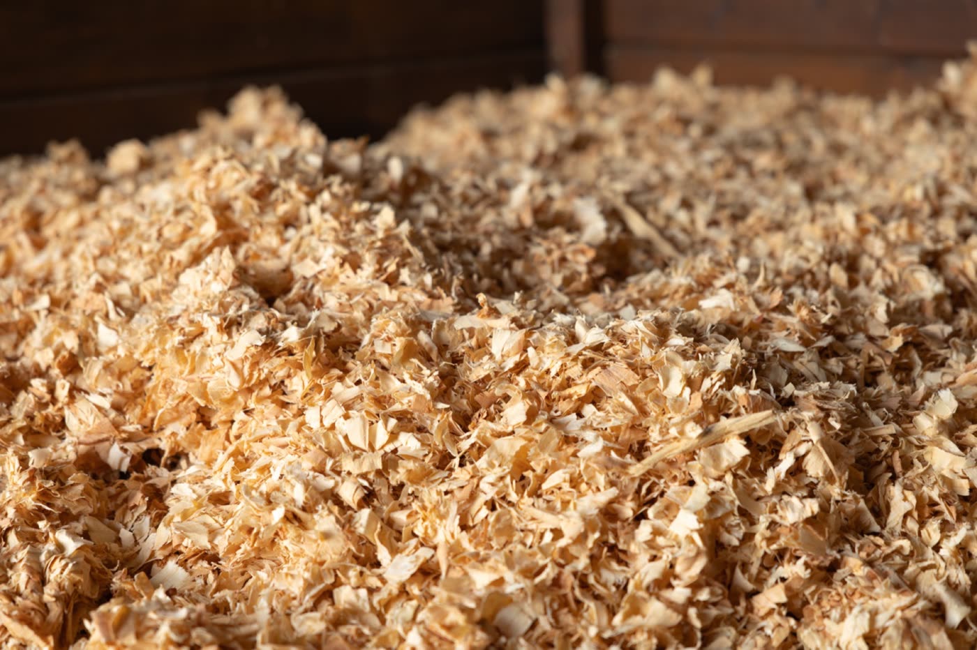 Prime Hay wood shavings close up