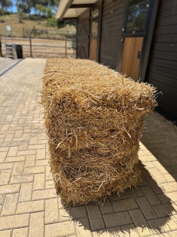 Um fardo grande de palha limpa em frente às boxes